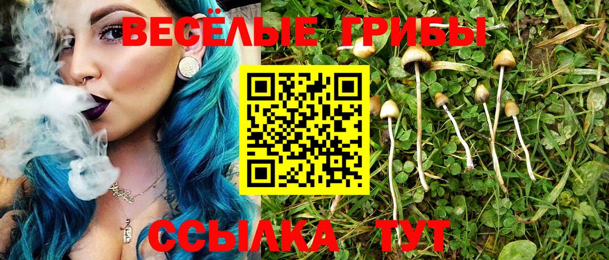 Псилоцибиновые грибы Cubensis  Галлюциногенные грибы Magic Shrooms  Электрогорск  Вход с VPN 